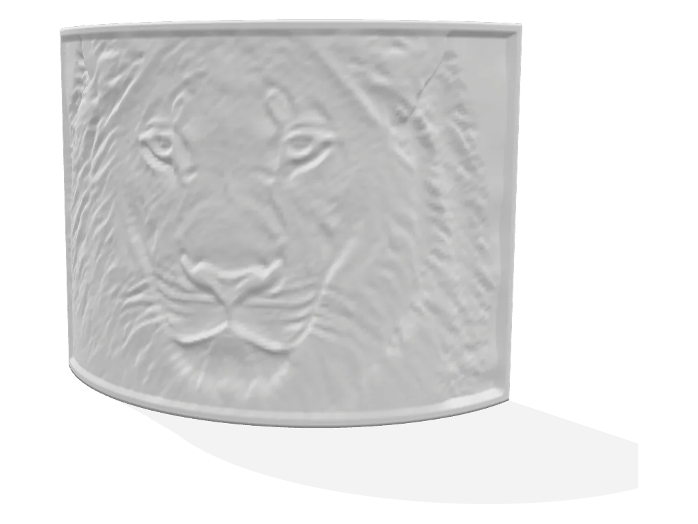 Curved lithophane plate unlit next to its backlit preview showing the photo